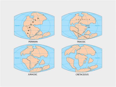Characteristics Of Pangea