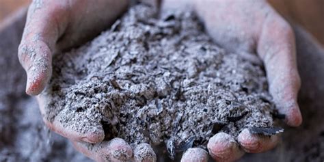 HOW TO USE WOOD ASHES IN THE GARDEN DIY Gardening & Better Living