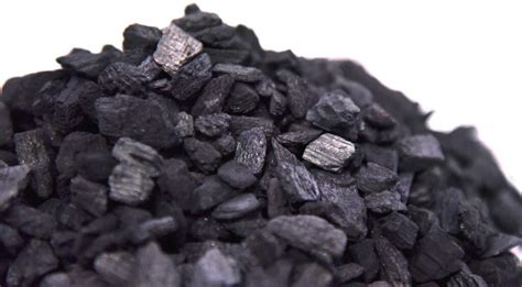 Using Charcoal For Plants: Enhancing Growth And Health