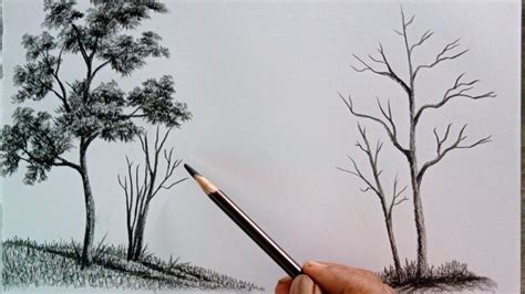Charcoal Drawing Of Trees
