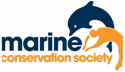 Ocean Blogspot: Marine Conservation Society – the UK charity protecting