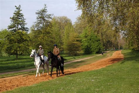 charity horse rides near london