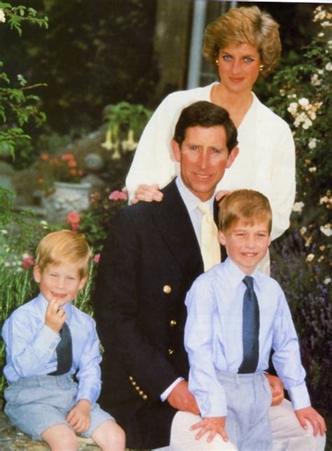 charles and diana's sons