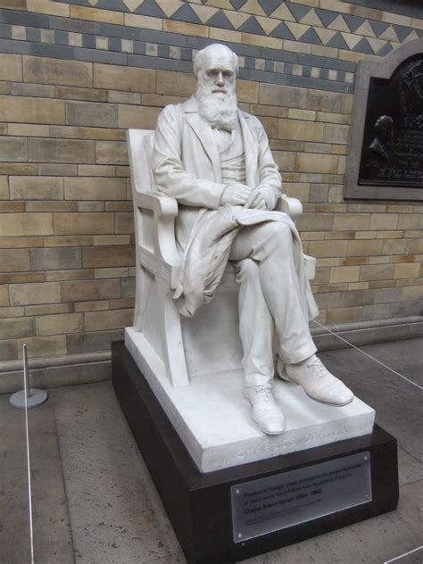 charles darwin statue