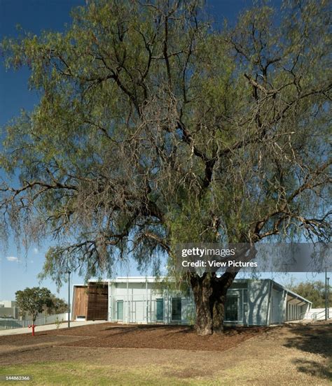 Charles Sturt Veterinary Breaking New Ground in Animal Care