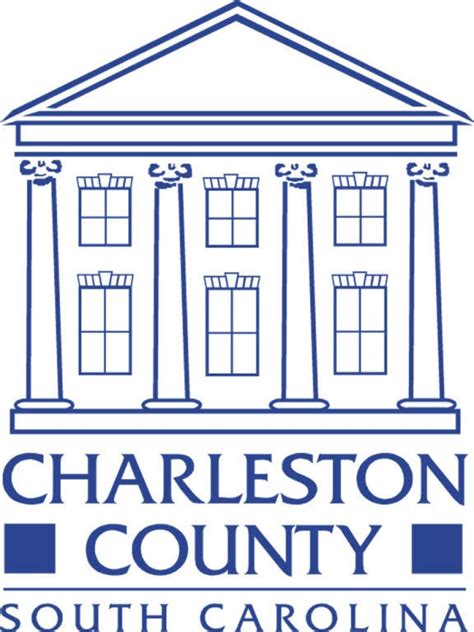 charleston county clerk of court case search