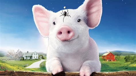 charlotte's web streaming free