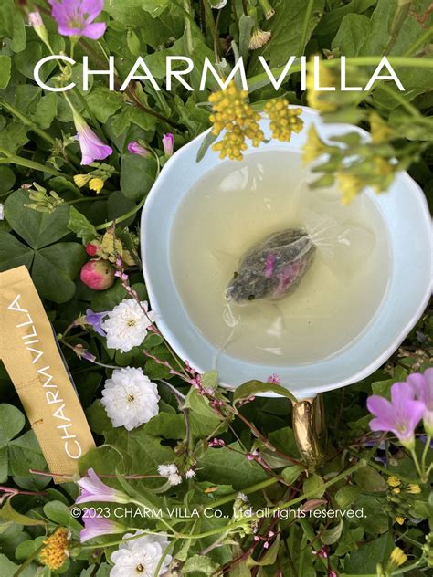 Charm Villa Tea
