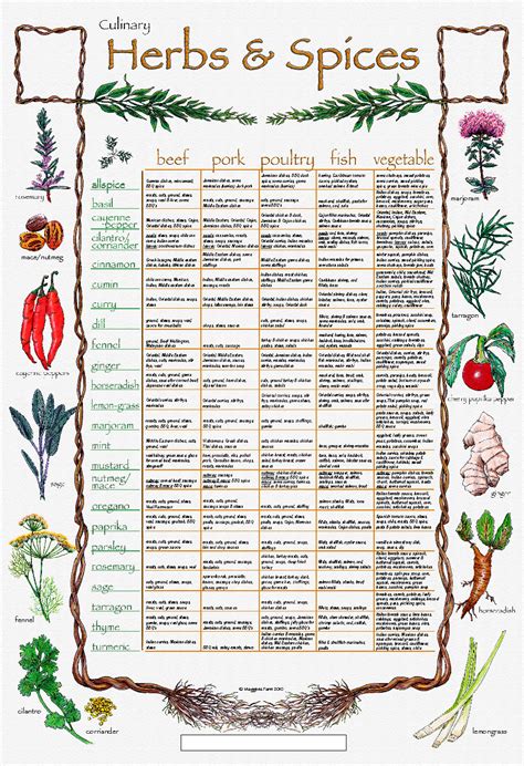 chart of herbs and their medicinal uses