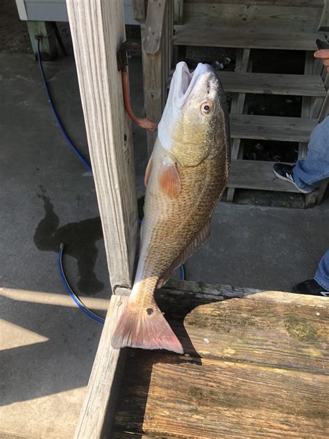 charter fishing near rodanthe nc