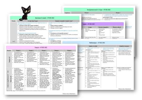 chat noir programmation cp