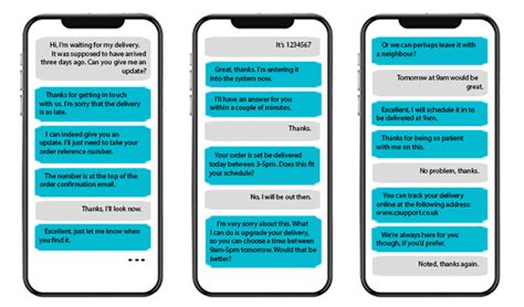 chat support sample script