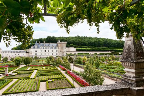 chateau de villandry frango