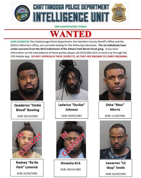 chattanooga mugshots