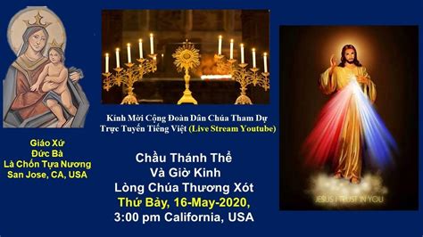 chau thanh the long chua thuong xot