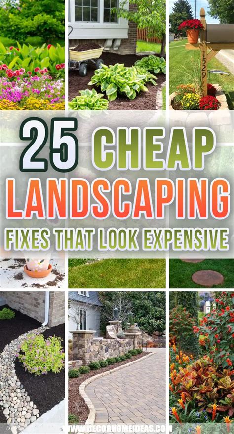 25 Cheap Landscaping Fixes That Look Expensive Decor Home Ideas