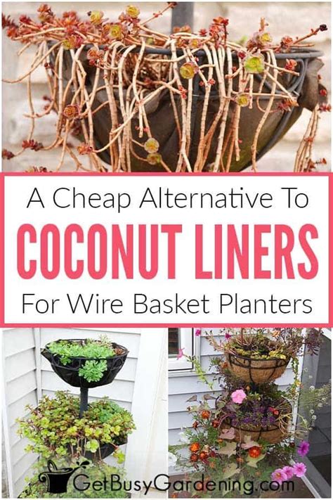 Cheap Alternative Planters