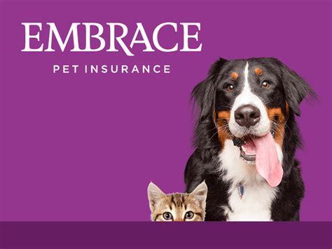 cheap annual pet insurance options