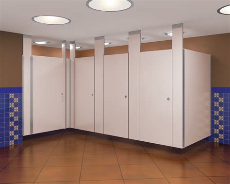 cheap bathroom partition ideas
