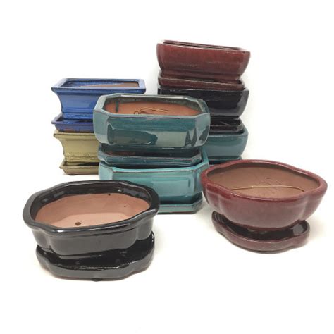 cheap bonsai pots