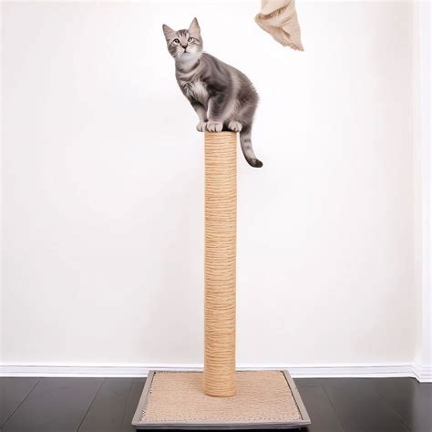Cheap Cat Scratch Post