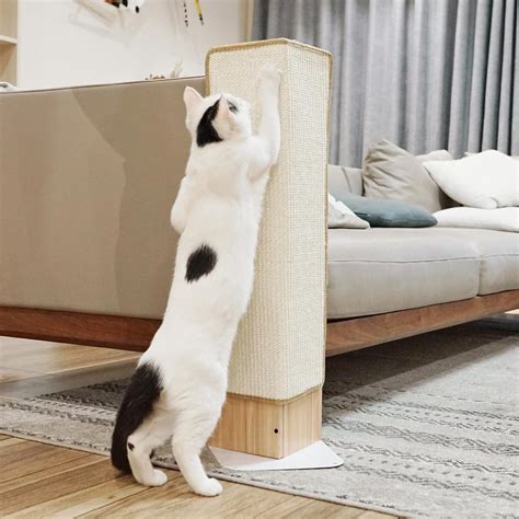 Cheap Cat Scratcher Post