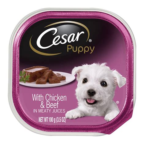 cheap cesar dog food