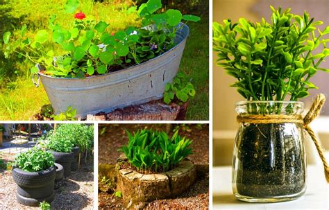 Cheap Container Ideas For Plants