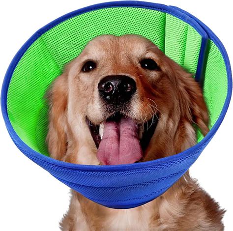 Cheap Dog Cone