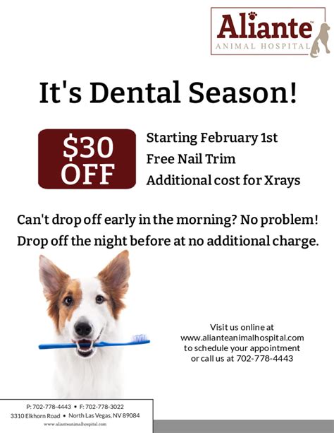 Cheap Dog Dental Work