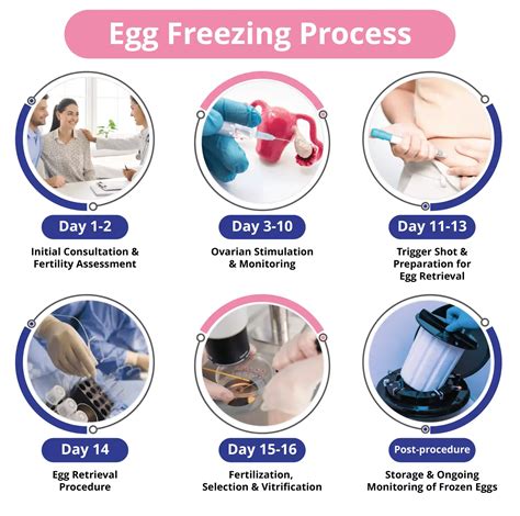 Cheap Egg Freezing