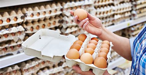 Cheap Eggs Around Pretoria