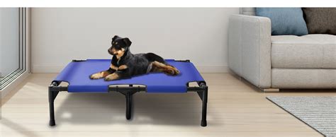Cheap Elevated Dog Beds