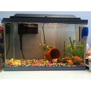 cheap fish tank decorations