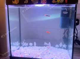 Cheap Fish Tank Middlesbrough