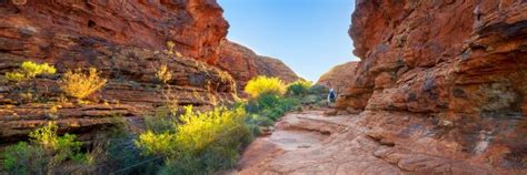 cheap flights to alice springs from melbourne