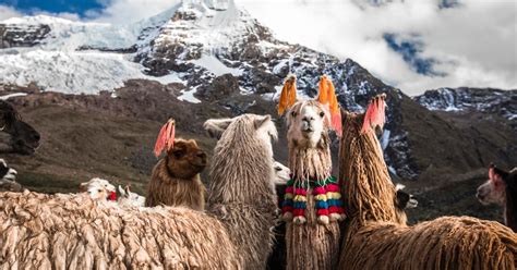 cheap flights to cusco peru