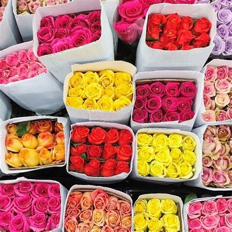 Cheap Flower Bulk