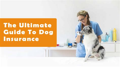 cheap full coverage pet insurance reviews