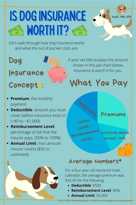 cheap health insurance for dogs canada