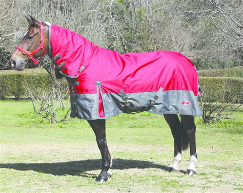 Cheap Horse Covers Nz