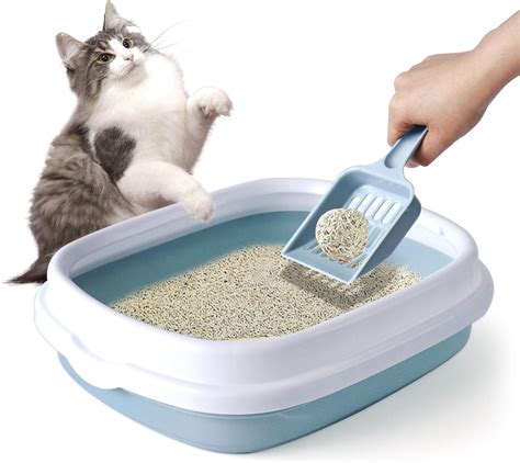 Cheap Kitty Litter Amazon