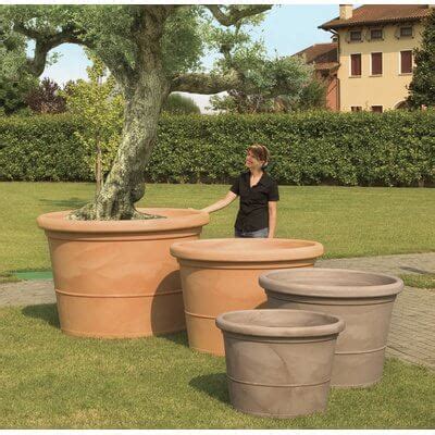 Cheap Large Plant Containers