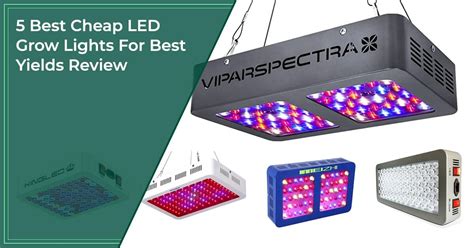 cheap led grow