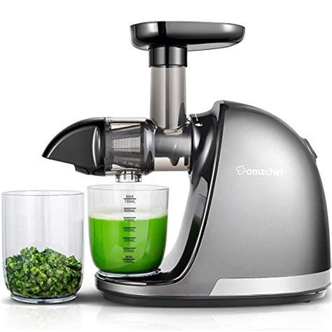 Cheap Masticating Juicer Machine