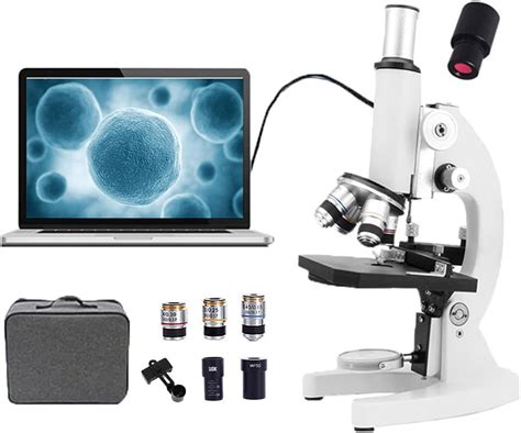 Cheap Microscope Photography