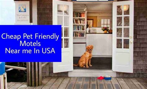cheap motels that allow pets in new york city