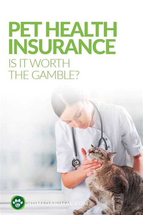 cheap pet health insurance reviews