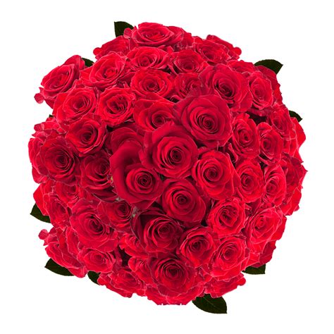 Cheap Red Roses
