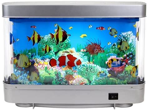 cheap tropical fish tanks